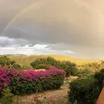 La Casa Del Mirto * Palau