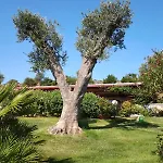 Penzion La Casa Del Mirto
