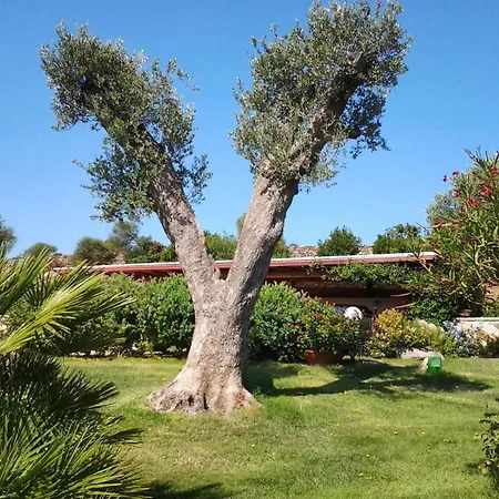 Vendégház La Casa Del Mirto