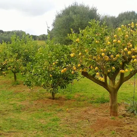 Affittacamere La Casa Del Mirto