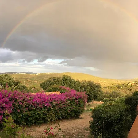 La Casa Del Mirto * Palau