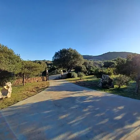 La Casa Del Mirto * Palau